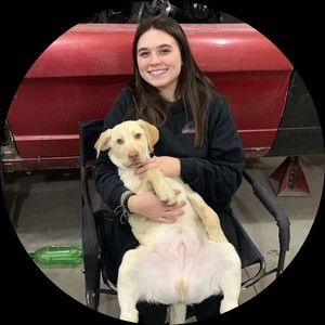 Meet your Posher, Brindy